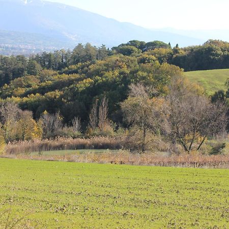拉吉娜斯特雷乡村民宿 Civitella D'Arna 外观 照片