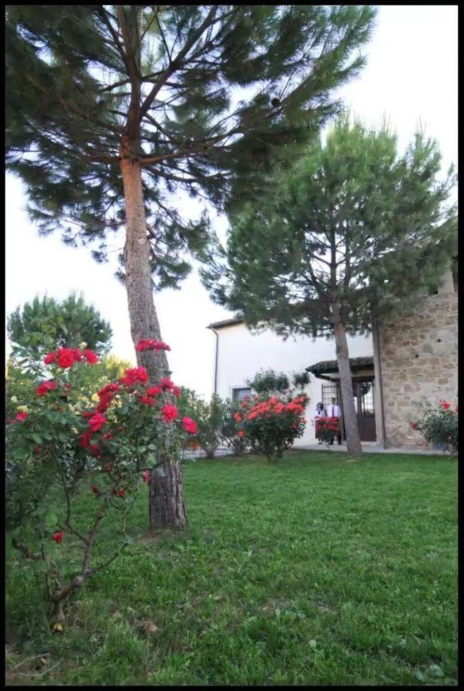 拉吉娜斯特雷乡村民宿 Civitella D'Arna 外观 照片