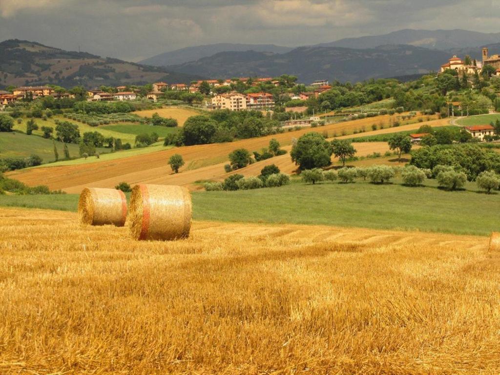 拉吉娜斯特雷乡村民宿 Civitella D'Arna 外观 照片