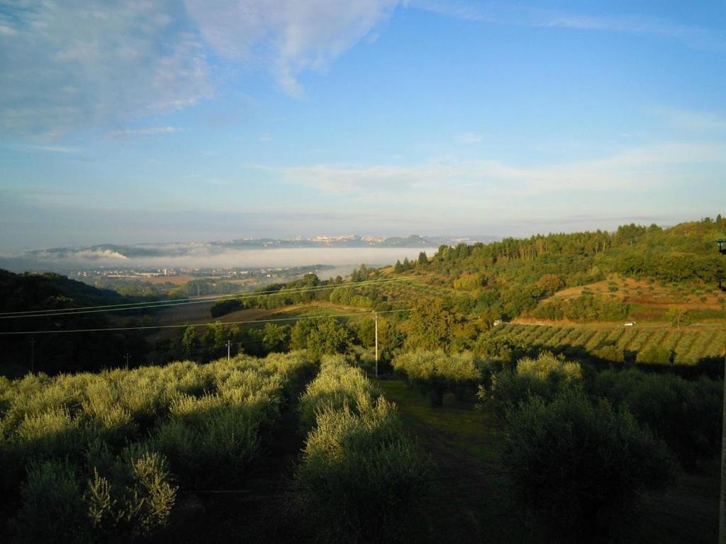 拉吉娜斯特雷乡村民宿 Civitella D'Arna 外观 照片