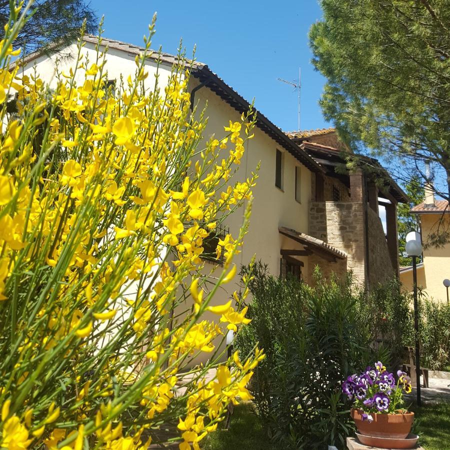 拉吉娜斯特雷乡村民宿 Civitella D'Arna 外观 照片